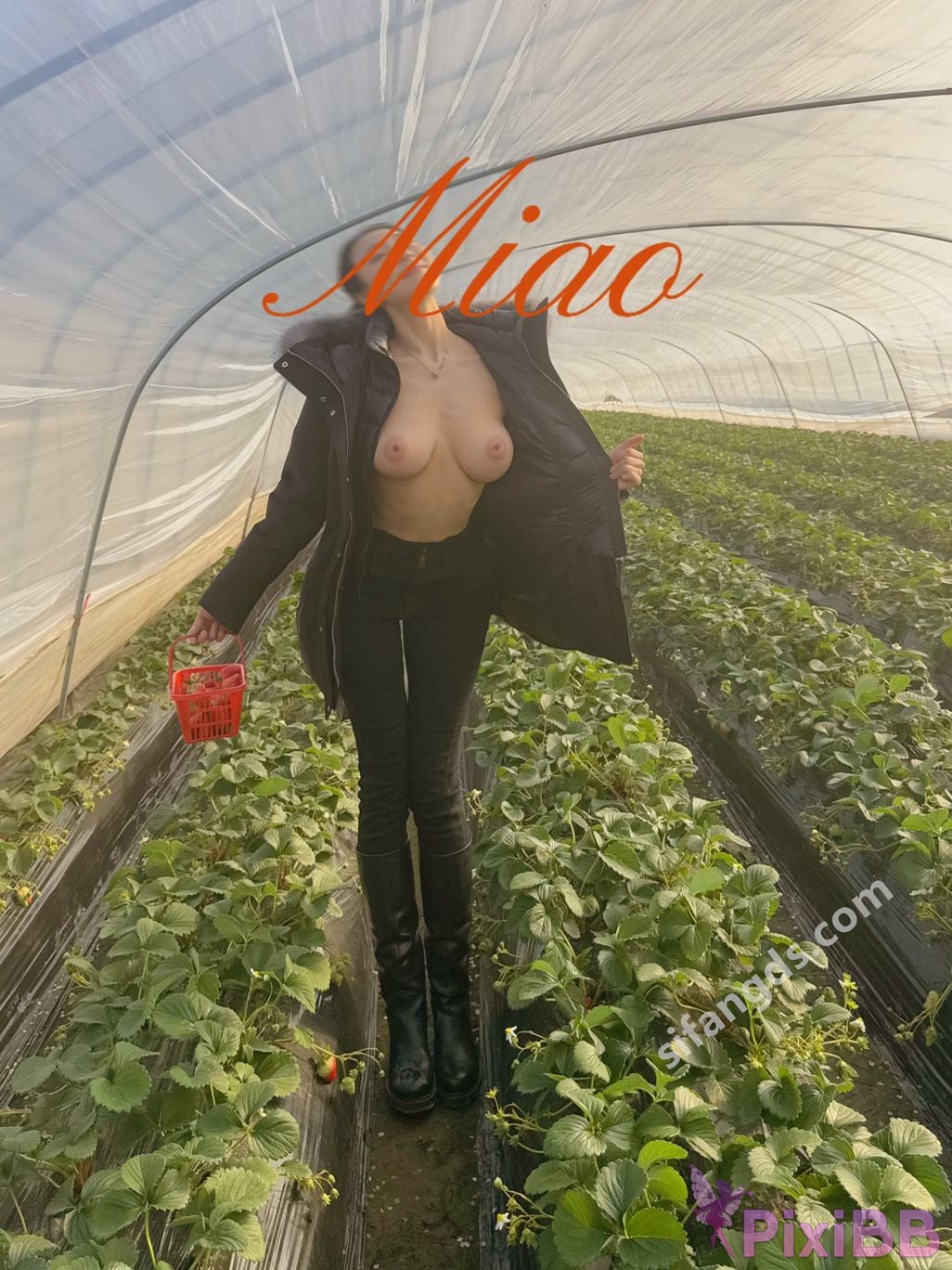 XR Uncensored Qing miao R18 25 and PixiBB.COM 104