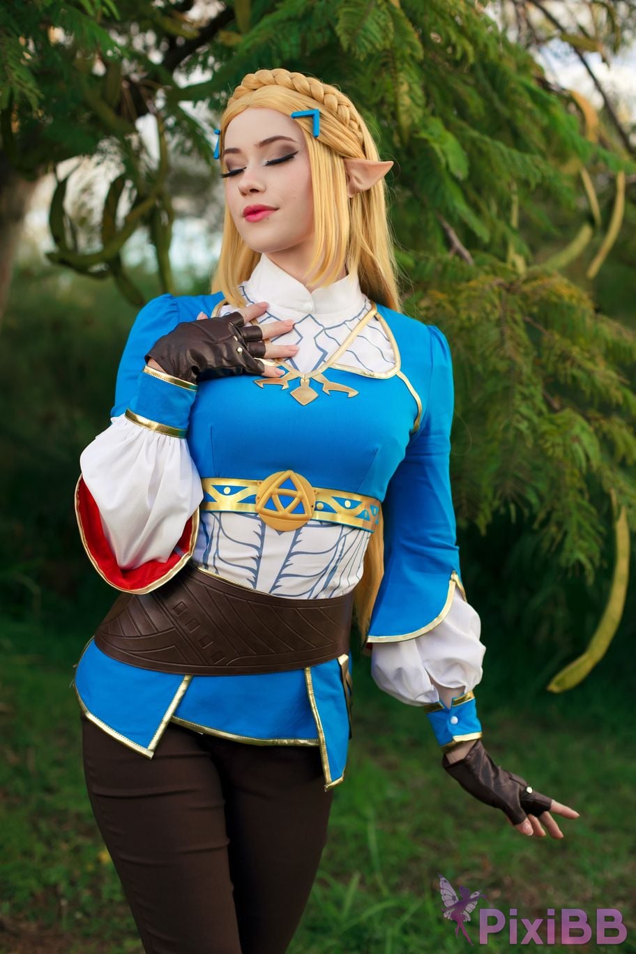 Nichameleon Zelda PixiBB.COM 10
