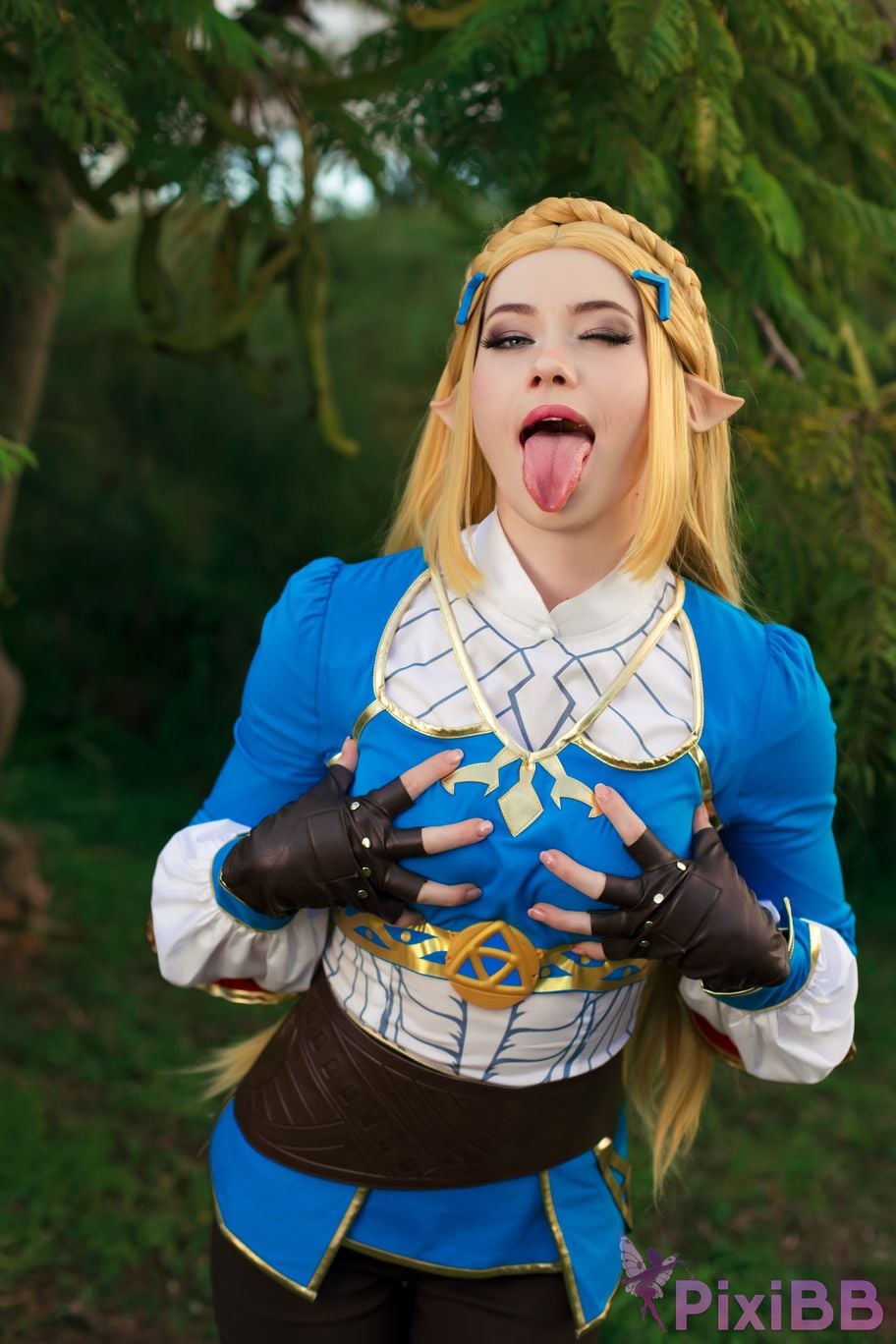 Nichameleon Zelda PixiBB.COM 13
