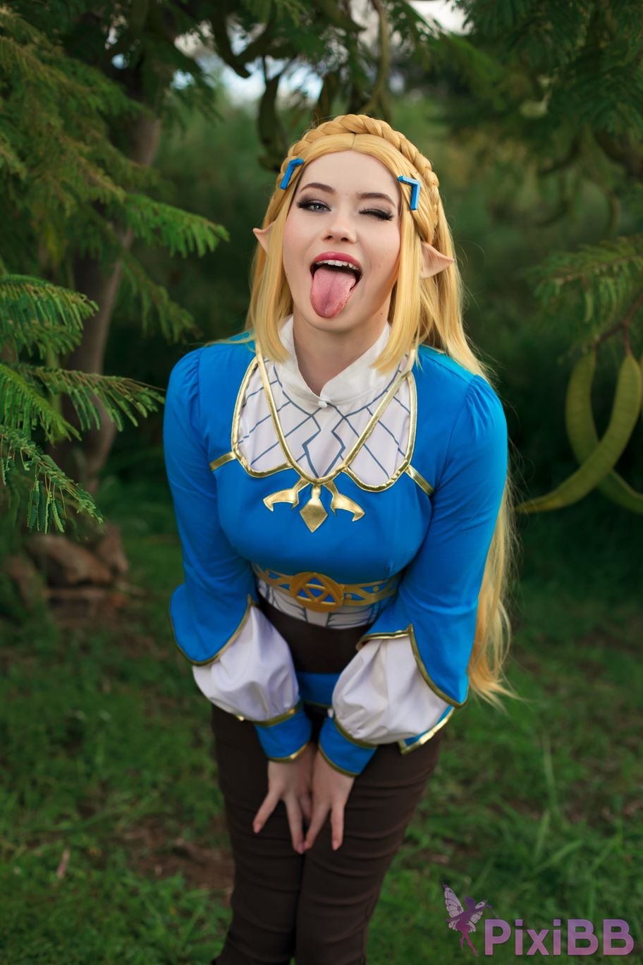 Nichameleon Zelda PixiBB.COM 18