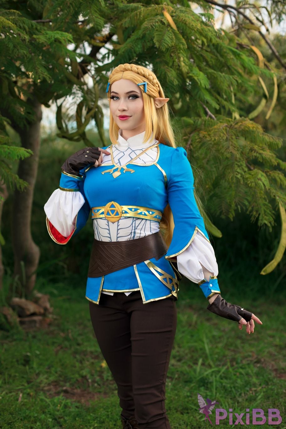 Nichameleon Zelda PixiBB.COM 19