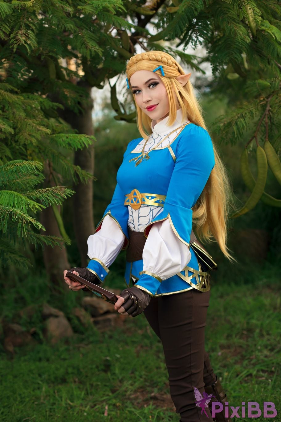 Nichameleon Zelda PixiBB.COM 2
