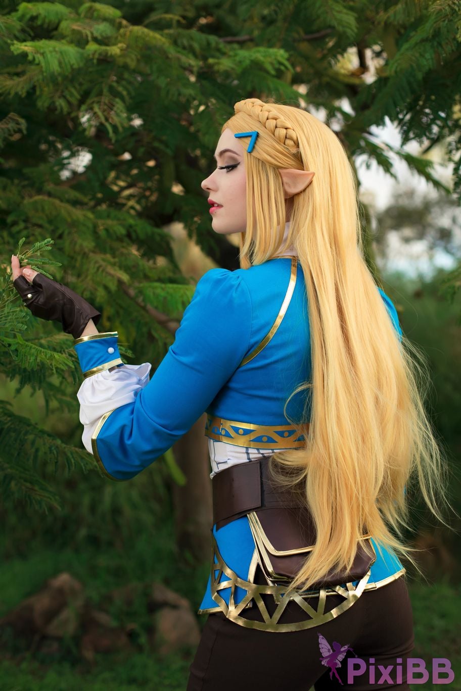 Nichameleon Zelda PixiBB.COM 22