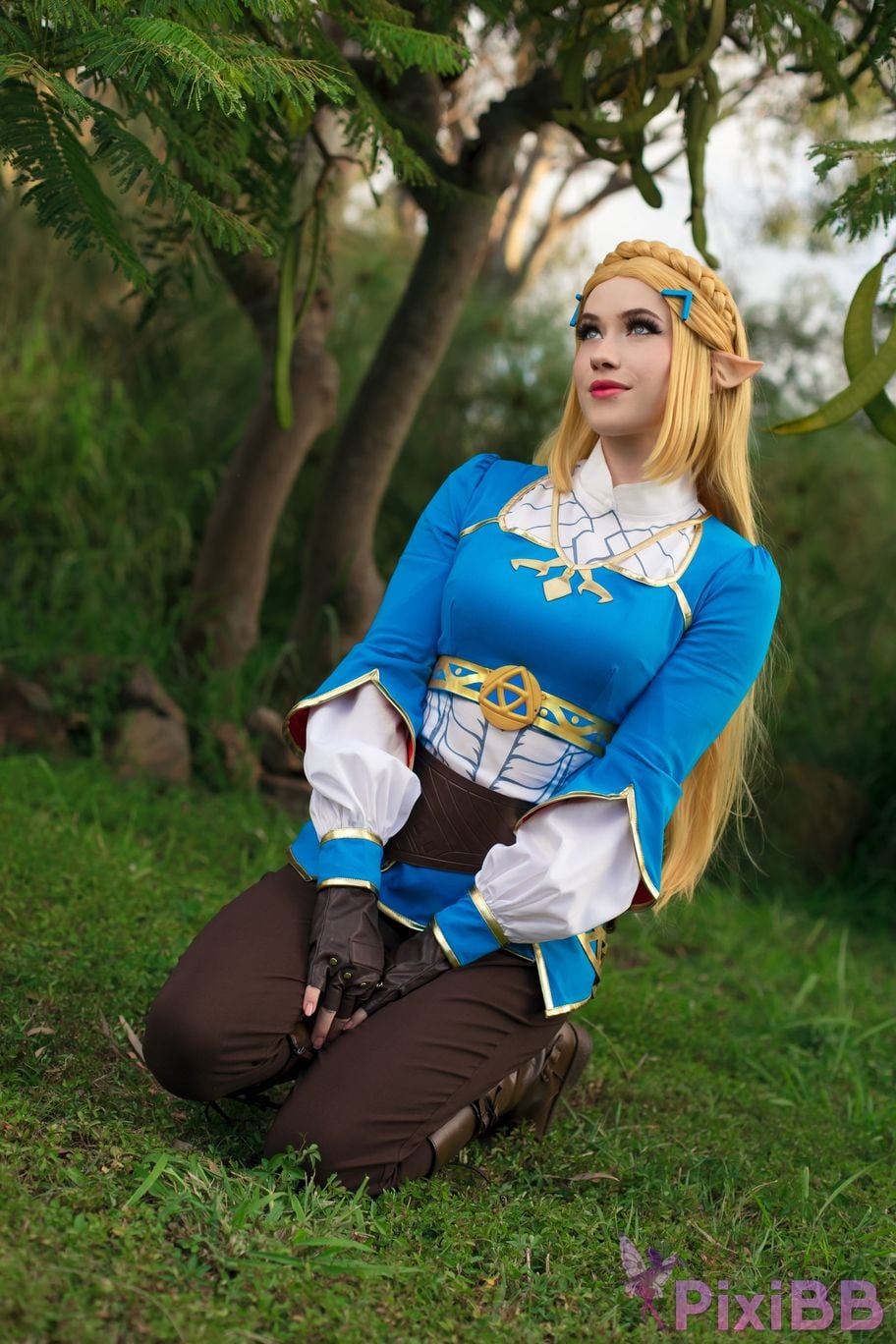 Nichameleon Zelda PixiBB.COM 3