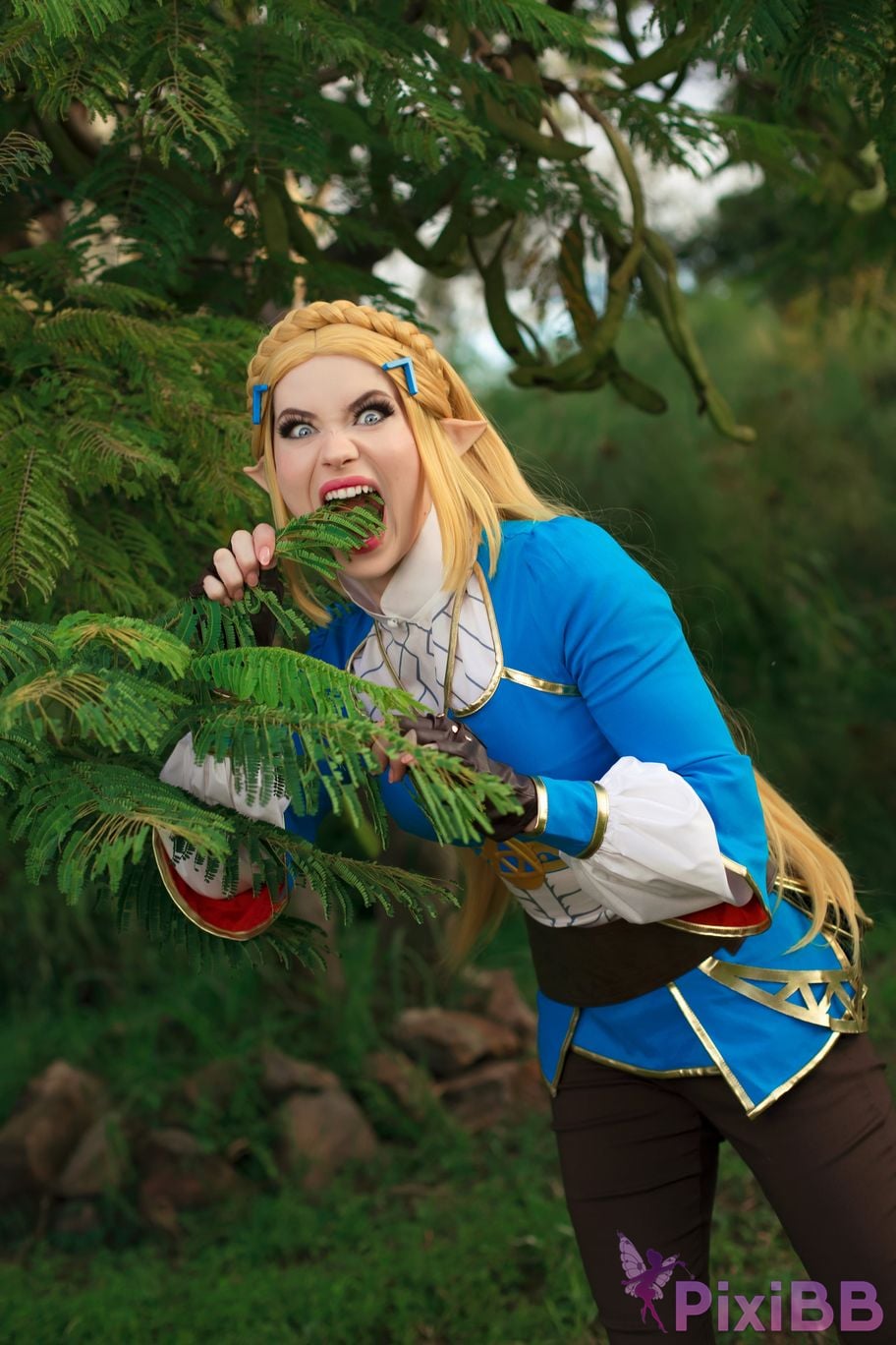 Nichameleon Zelda PixiBB.COM 8