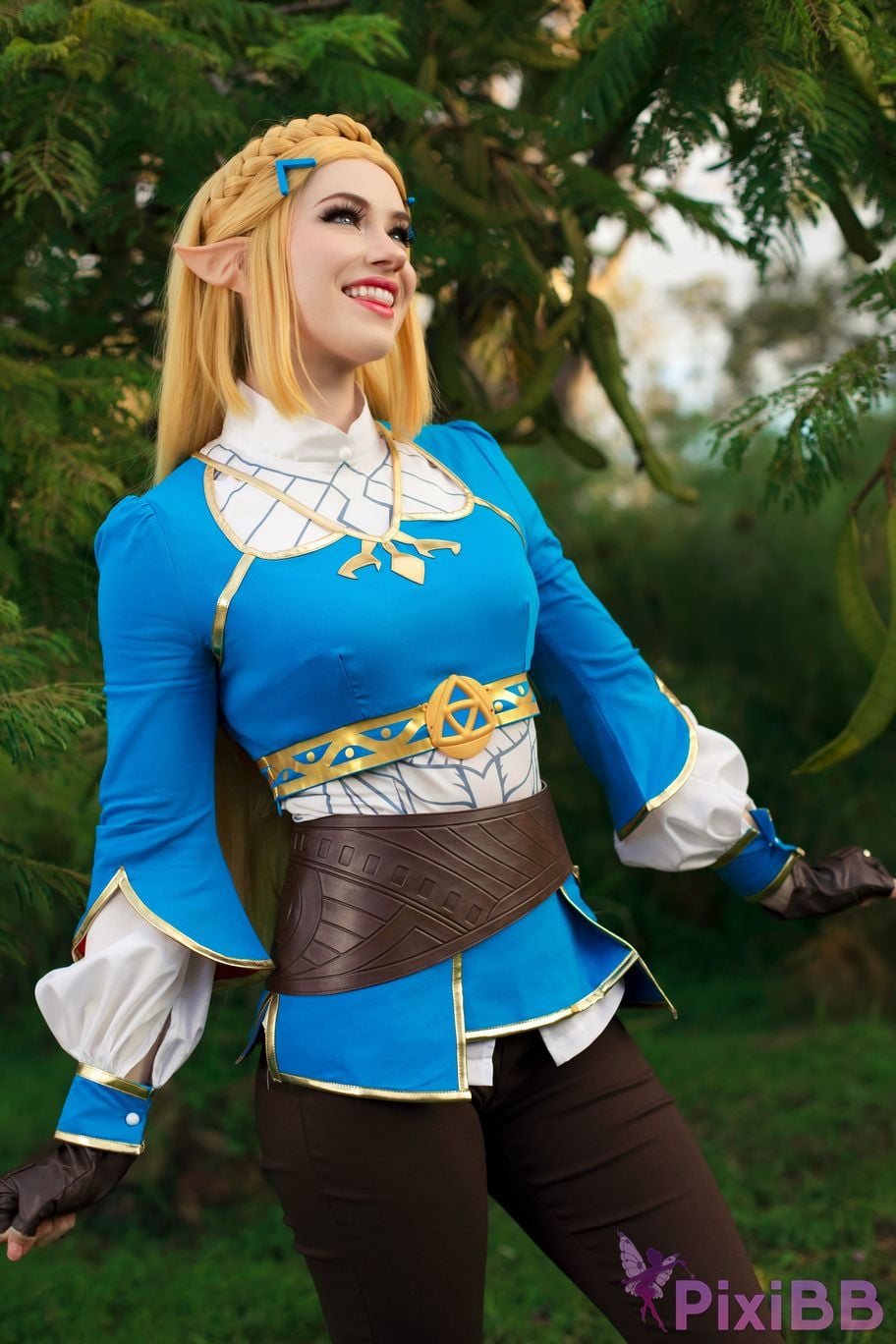 Nichameleon Zelda PixiBB.COM 9