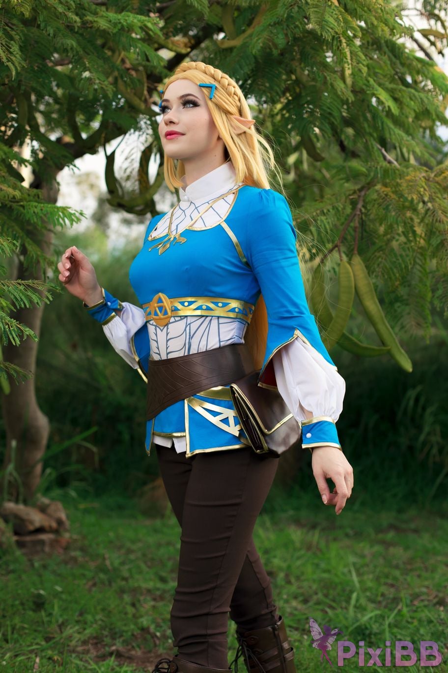 Nichameleon Zelda PixiBB.COM