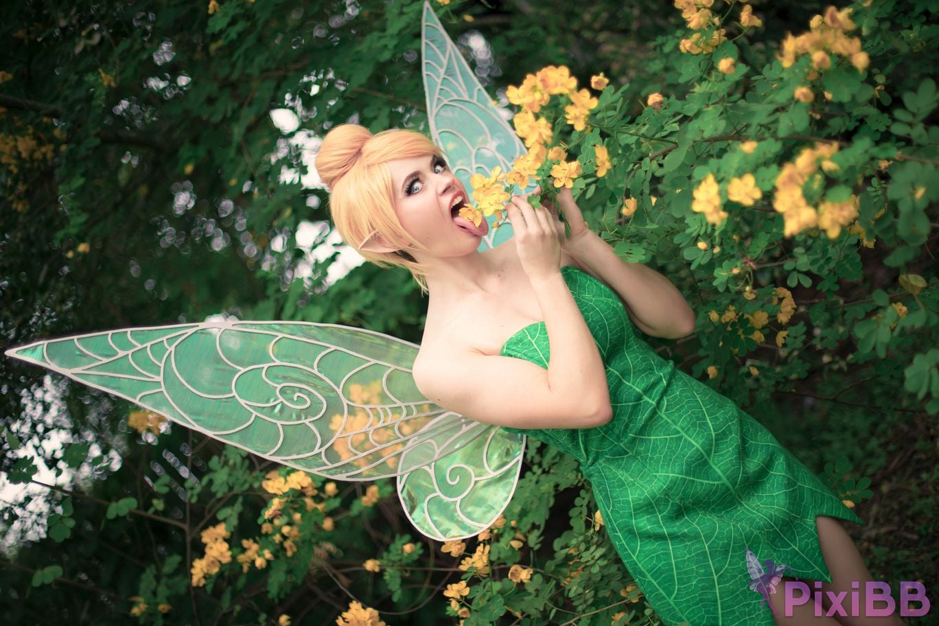 Nichameleon Tinker Bell PixiBB.COM 14
