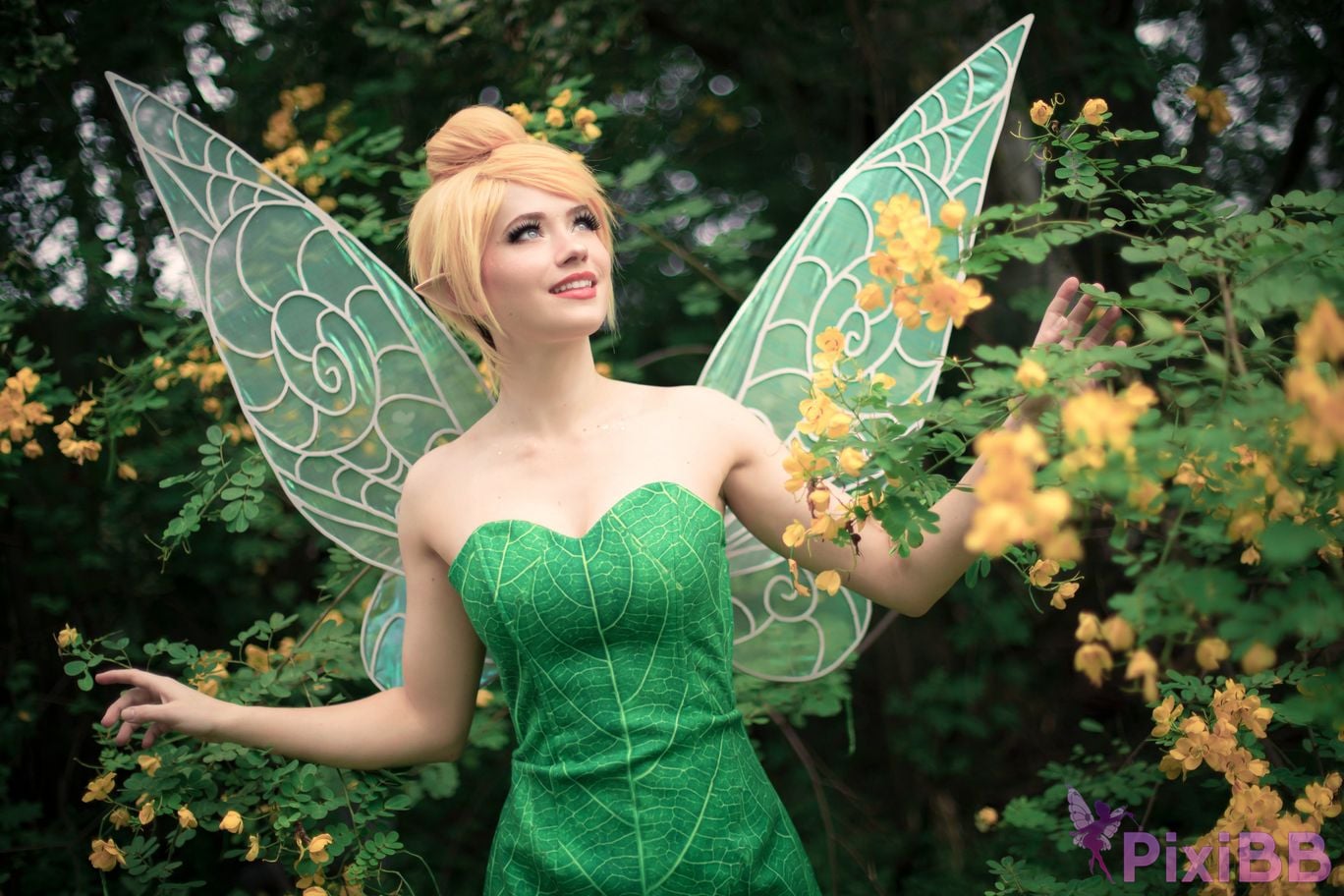 Nichameleon Tinker Bell PixiBB.COM 5