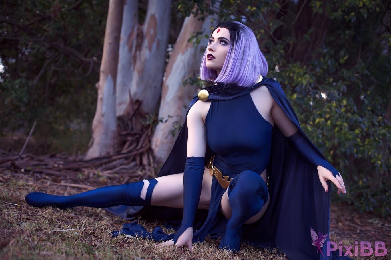 Nichameleon Raven PixiBB.COM 16
