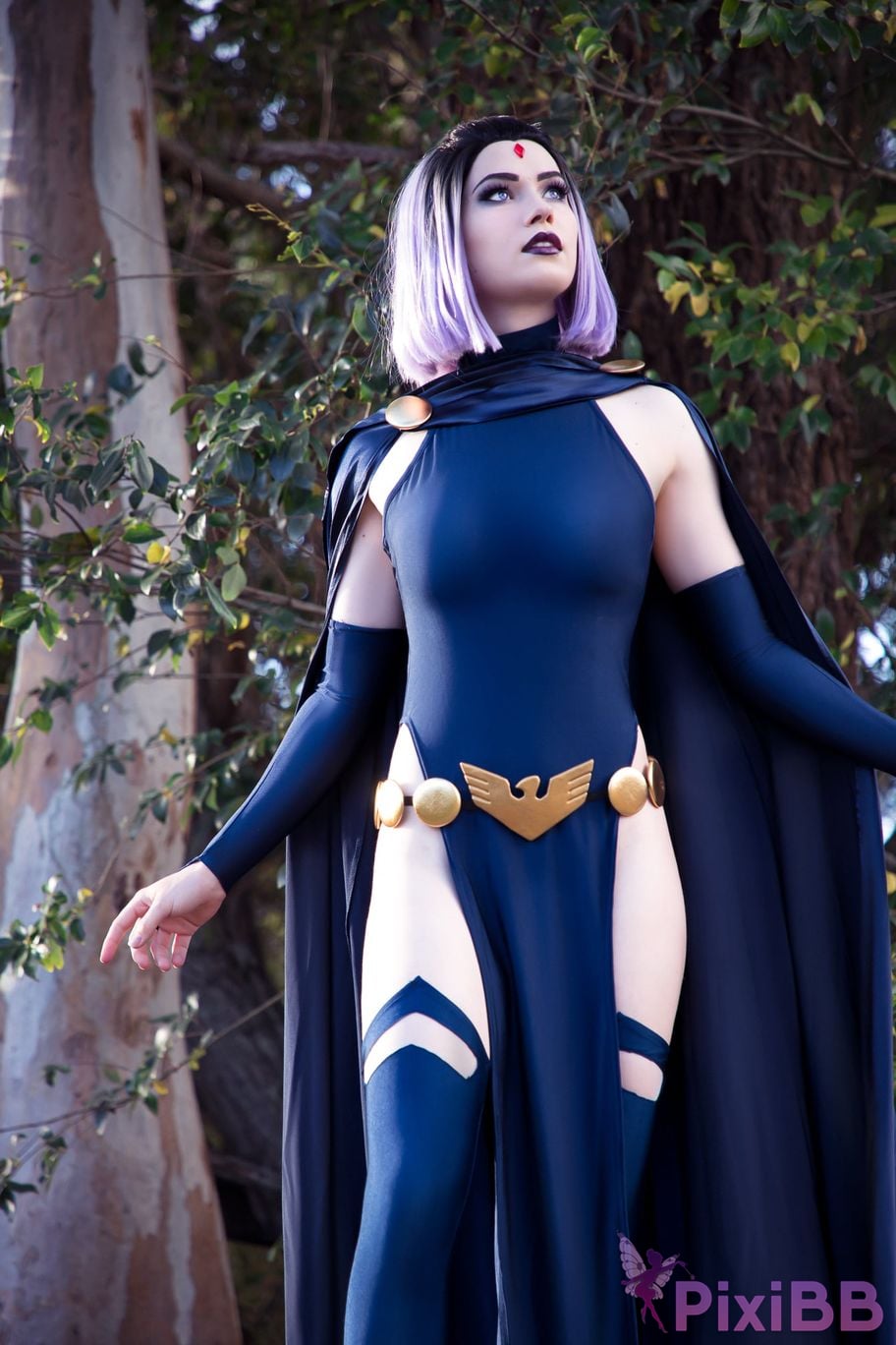 Nichameleon Raven PixiBB.COM 18