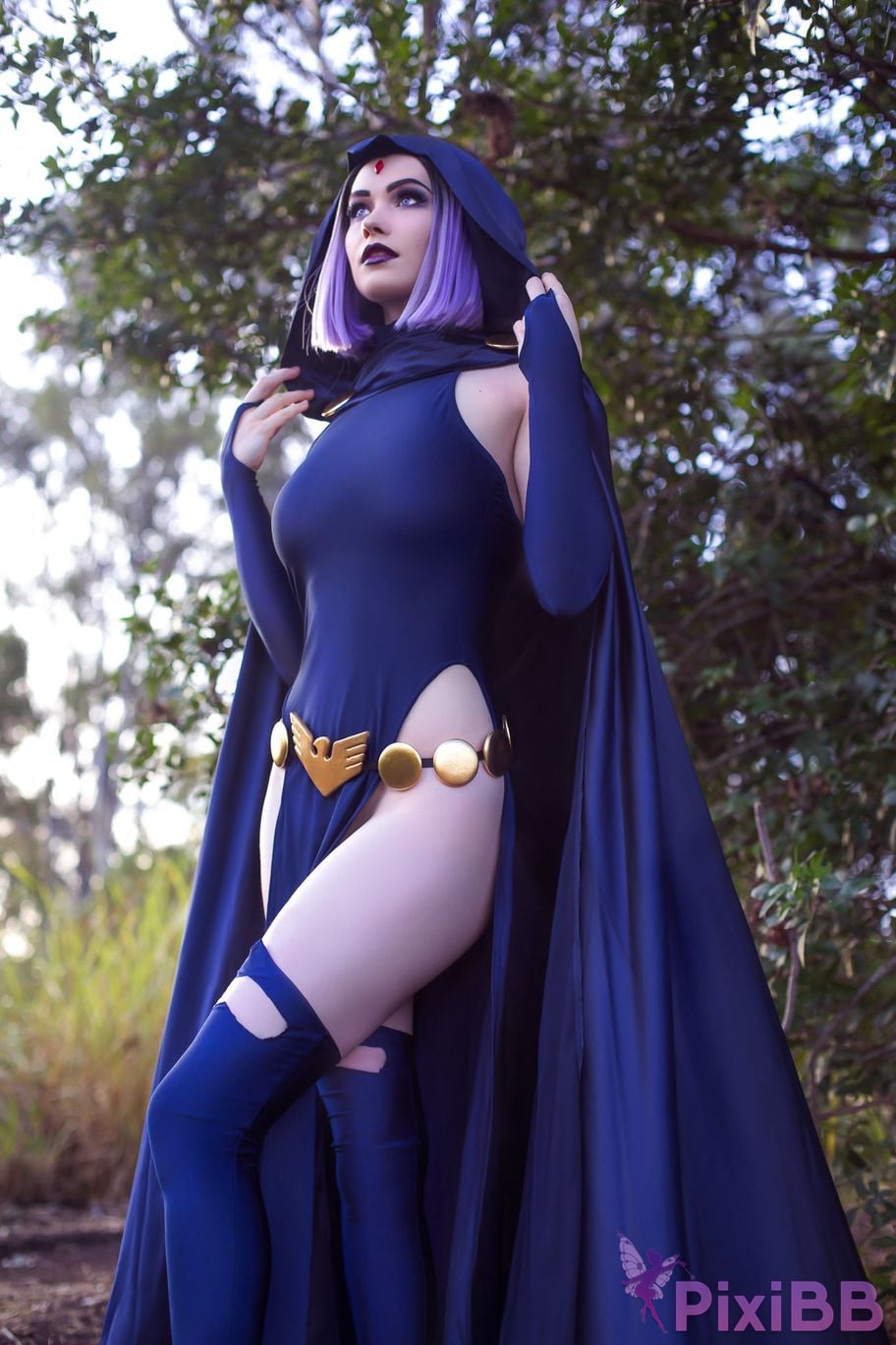 Nichameleon Raven PixiBB.COM