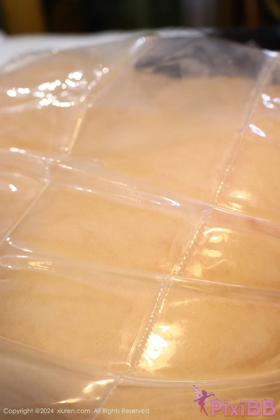 XIUREN No.8517 Xiao shu tiao nienie PixiBB.COM 074
