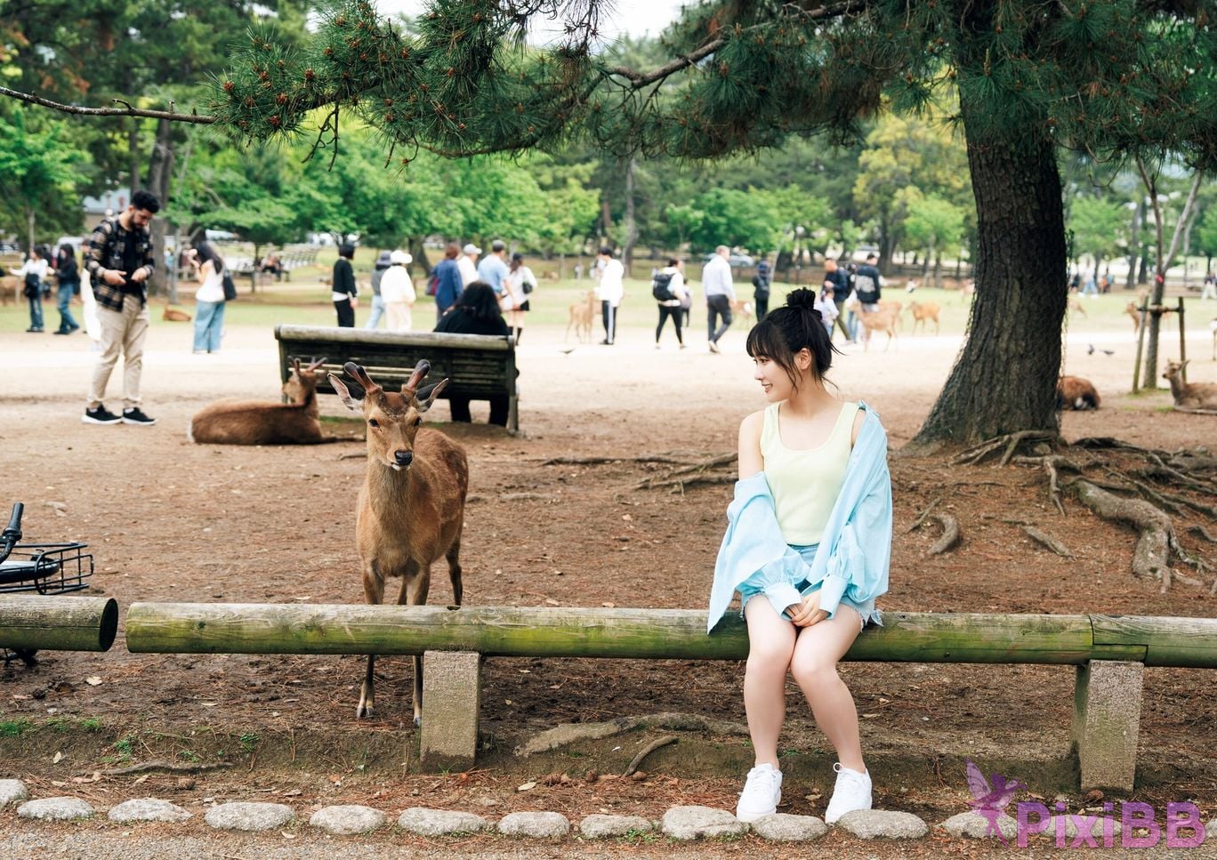 Japanese Idol Sakura Sakakura Hana 1st photo collection Blooming Electronic special edition PixiBB.COM 016