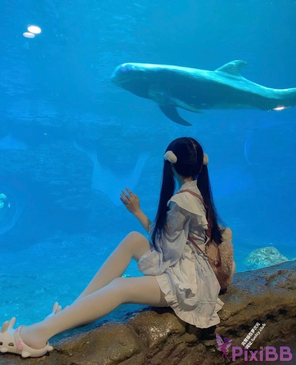 OtherXXX puppy pvq Xiaoyijiang Top small breasts double ponytail loli Fund owner sex subscription PixiBB.COM 079