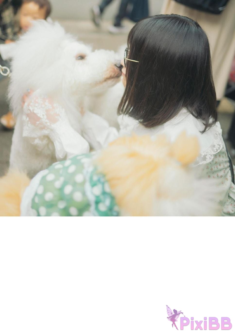 Japanese Idol Mame Daifuku Mamedaifuku Im an adult Okay right photo collection Wunder Publishing House PixiBB.COM 018